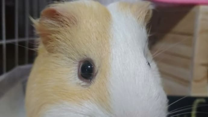 晴れているけど風は強い
