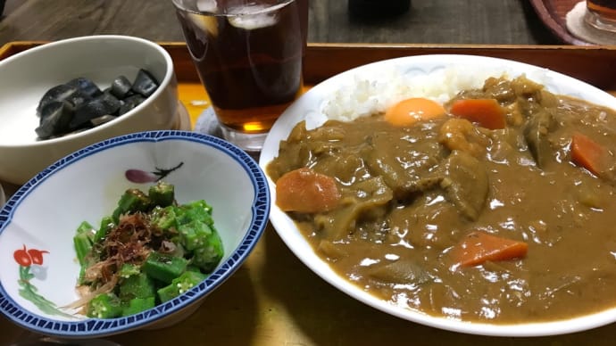 ナスカレーもさすがに最後かな