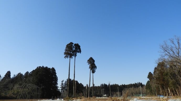急遽 孫守りでしたよ。