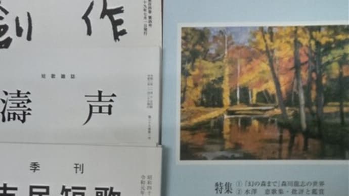 私設図書館あおぞら文庫～短歌の冊子寄贈されました