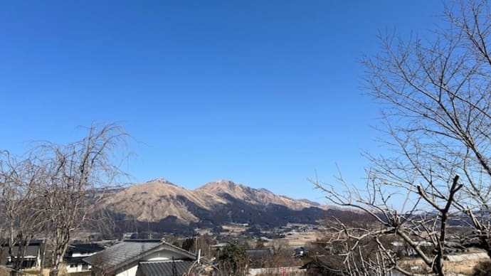 今日は猫の相手したり、CoiCoiCoilの使用感とか色々