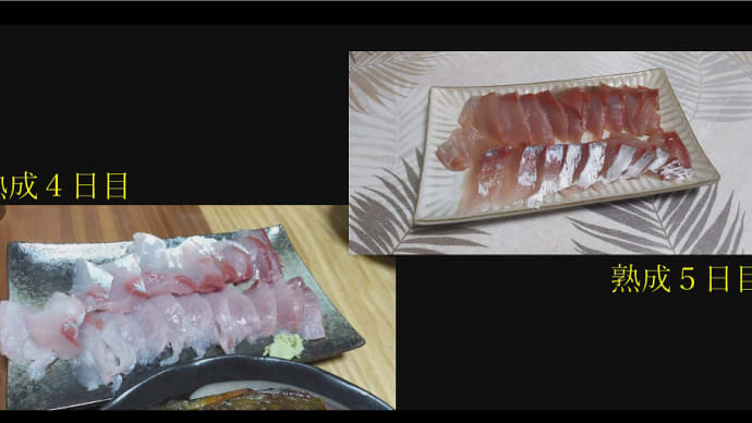釣ったチヌ（黒鯛）とハマチ（イナダ）の美味しくいただく調理方法