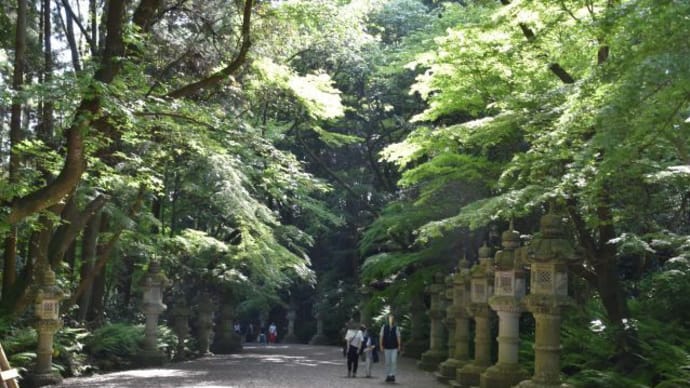 茨城の香取神宮 参道に大きな木々 6