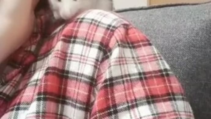 今日うれしかったこと