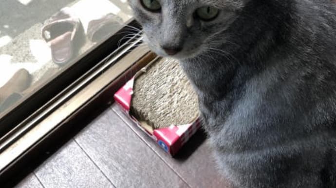 あと少し・・