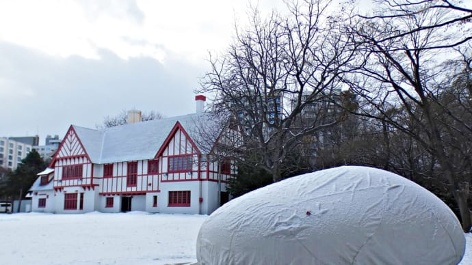 雪景色の知事公館庭園とエゾリスと。～北海道知事公館～