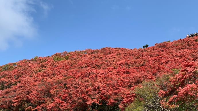 山燃ゆる　葛城山　〜１年前の思い出〜