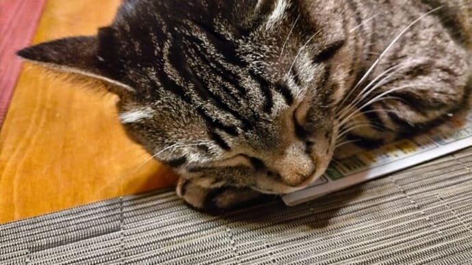 明日も8:00から18:00まで営業します。