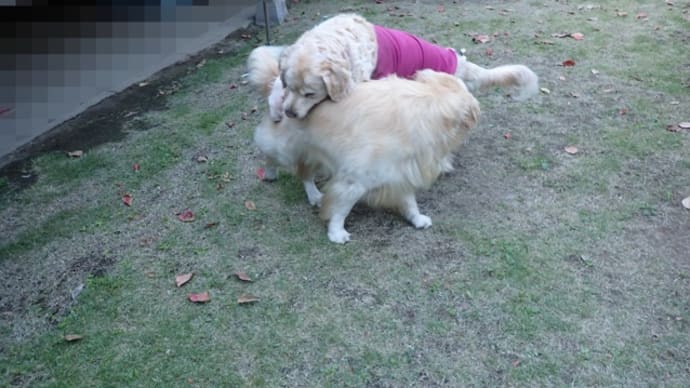 🐶祝日🐶20210920