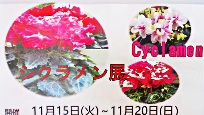シクラメン展と紅葉と。~豊平公園~