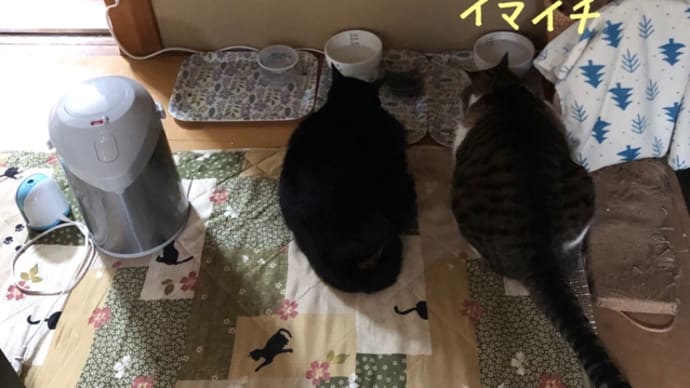 フタリ