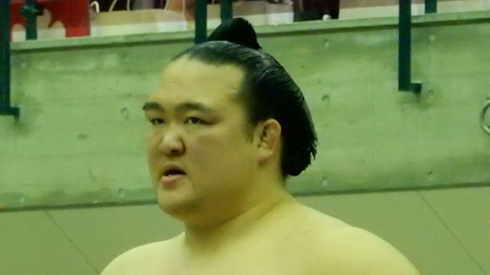 稀勢の里押し!