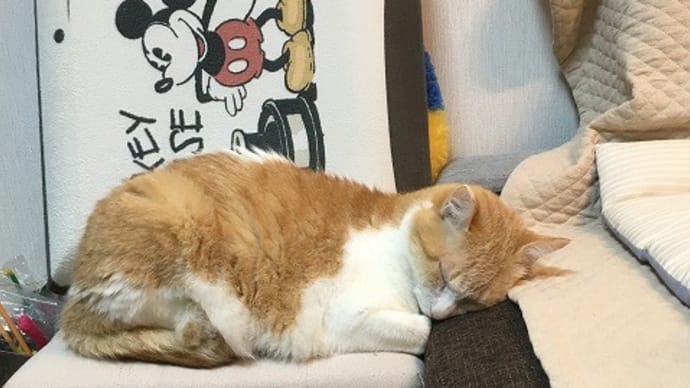朝までぐっすり