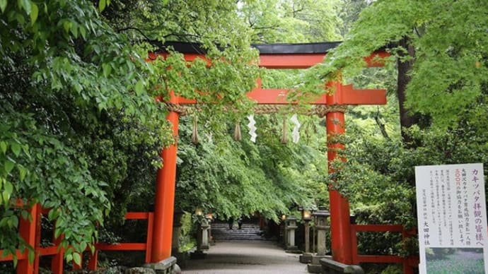 京都 大田神社~上賀茂神社・やすらい祭 15日