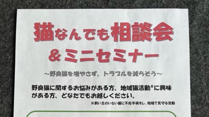 地域猫活動は住民主体で
