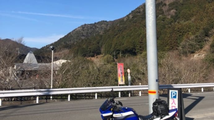 霧の森・・・