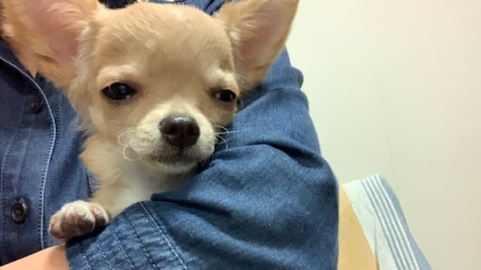 あれから1年です~(^O^)/