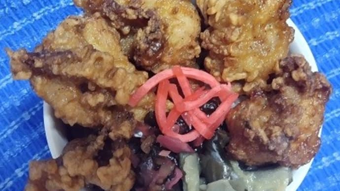 【06/05晩御飯】生命鶏唐揚げ、これから眼科に出掛ける準備をするんだね:D