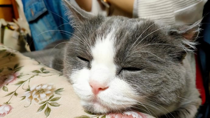 来週からまた休みます。