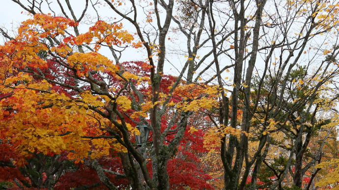 秋の紅葉、追想/北海道3-2