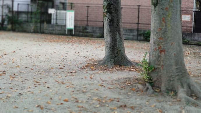 風が吹いたら