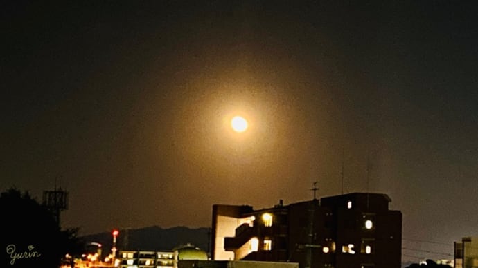 月が綺麗だったので