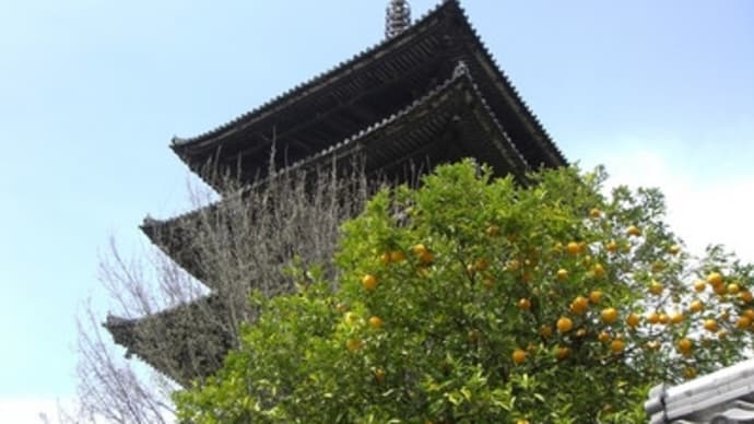 京都妖怪探訪（１０９）：“八坂の塔”法観寺