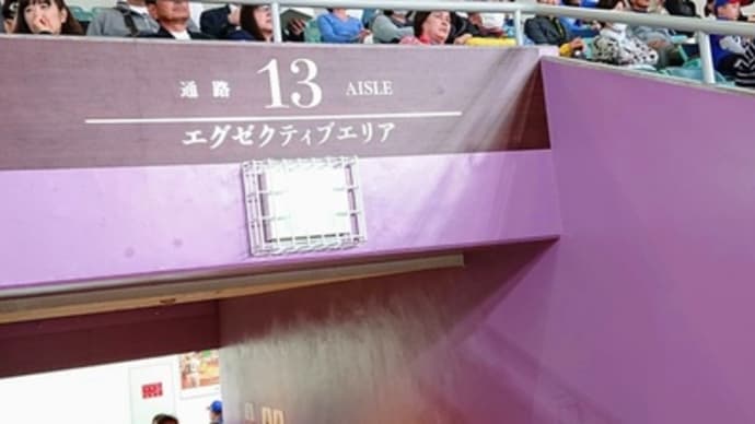 ゴー❗ゴー❗ドラゴンズ❗