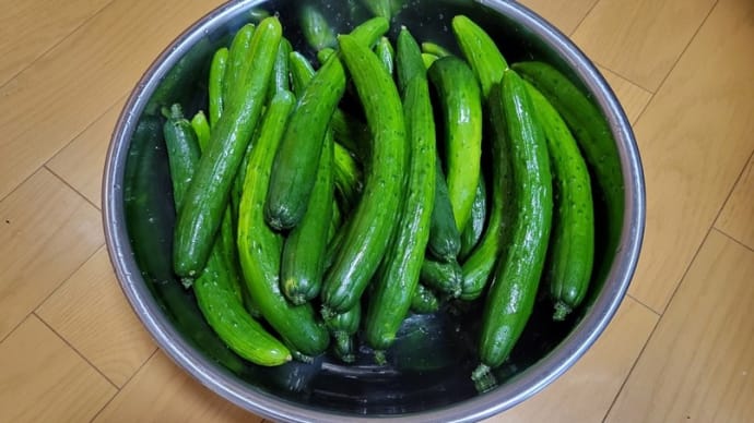 採れ過ぎキュウリの大量消費法・・・佃煮作り!