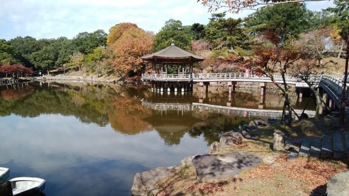 奈良公園の鹿