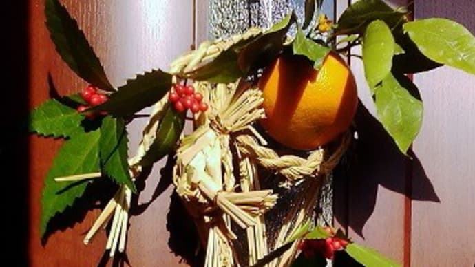 しめ飾りにでっかく重たい柑橘は