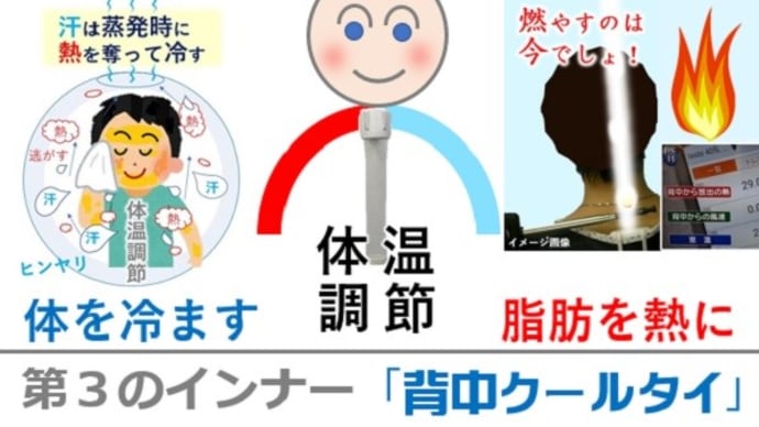ハッシュタグ とっていきの方法 Goo Blog Gooブログ ハッシュタグ とっていきの方法 Goo Blog Gooブログ