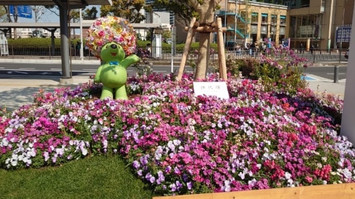 春の横浜は花いっぱい2023