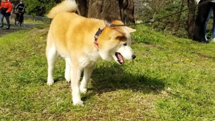 クリンへの想いは尽きなくて・・・125