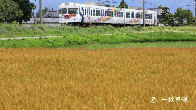 色褪せし電車や金の麦畑