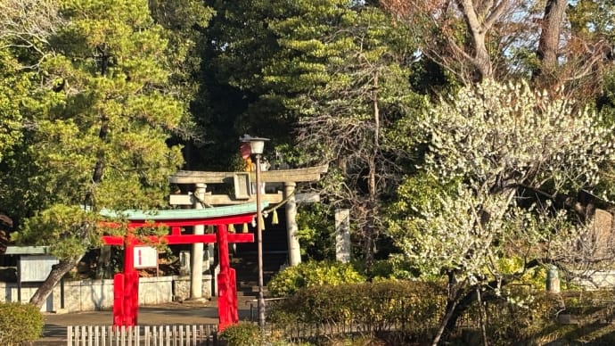 高松宮記念🎯!まいどまいどのトリガミです!