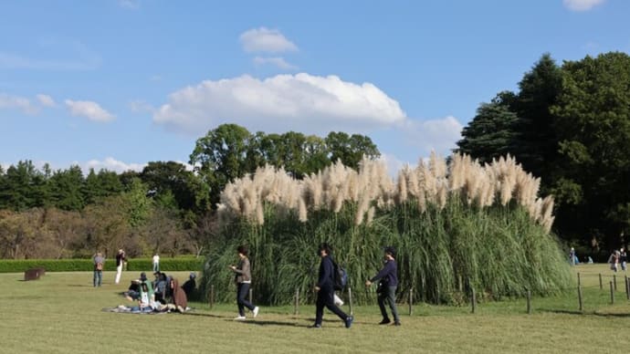 秋の公園