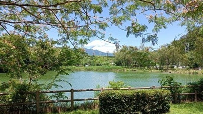 夏の風景2023/外国の山と湖水みたい!