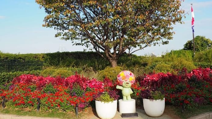 港の見える丘公園と秋バラ