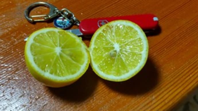 黄色いレモン