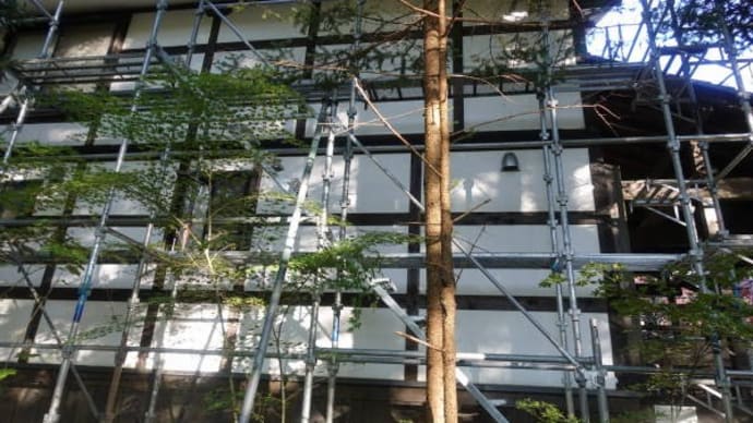 今年の信州暮らしは終了となりました