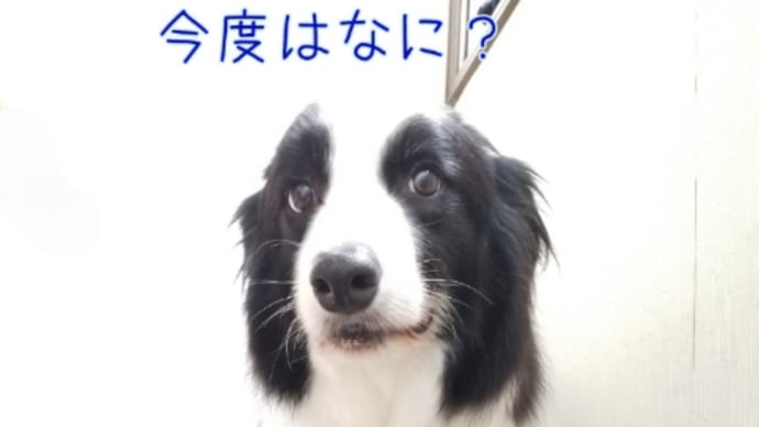 一番じゃなきゃダメなモデルさん