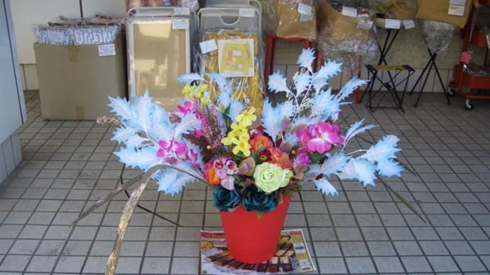 店先に花を2鉢、増やしました。