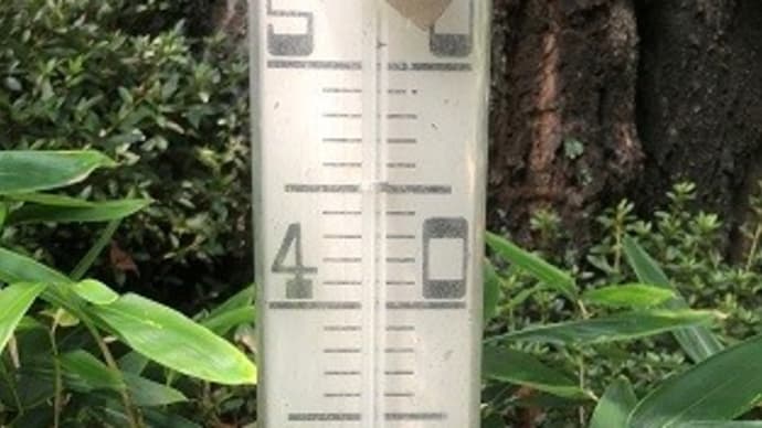 さいたま市は34度