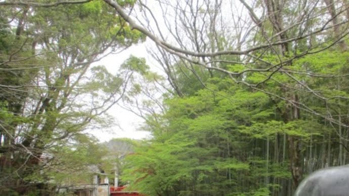 静岡・修善寺温泉・・・日本風情を残す昭和の温泉街・・・射的、スマートボール、ボットル？