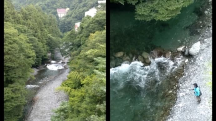 今日も春渓(竿)で朝から釣りを楽しむ