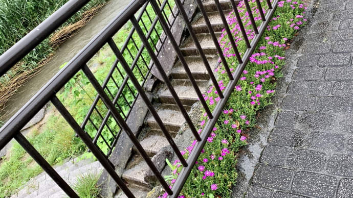 雨の中を歩いて・・・