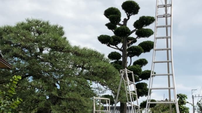仕事は順調に