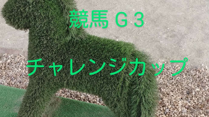 競馬G3 チャレンジカップ 狙ってみたい馬