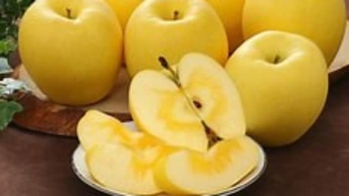 🍎冬恋はるかちゃん🎵 石狩ルーラン十六番地